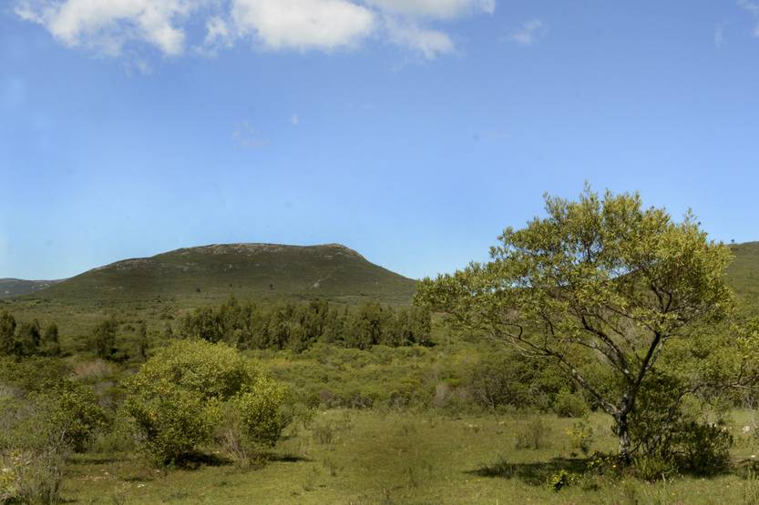 20250414 maldo sierra de las ánimas