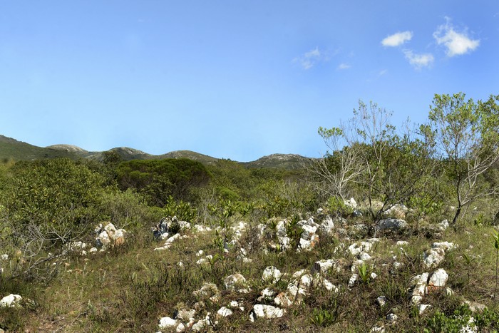 Sierra de las Ánimas. · Foto: Virginia Martínez Díaz