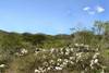 sierra RS110377_20211016VDM_0009