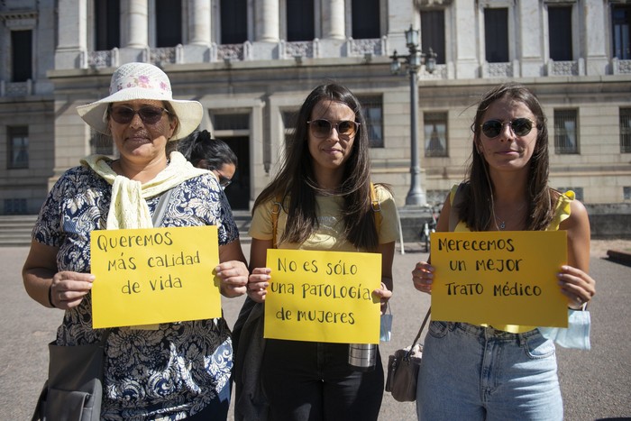 Pacientes y familiares en la puerta del Palacio Legislativo en el Día Internacional de la Endometriosis (archivo, marzo de 2023). · Foto: Alessandro Maradei