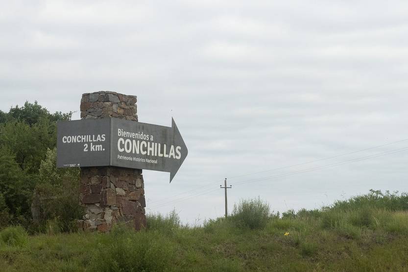 20220516  conchillas