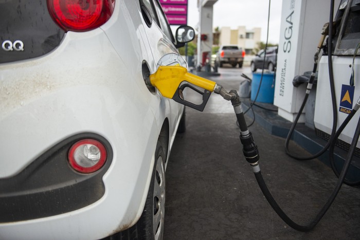 Foto: Alessandro Maradei (archivo).