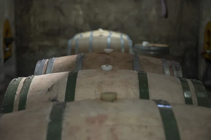 (Archivo, 2022) · Foto: Alessandro Maradei