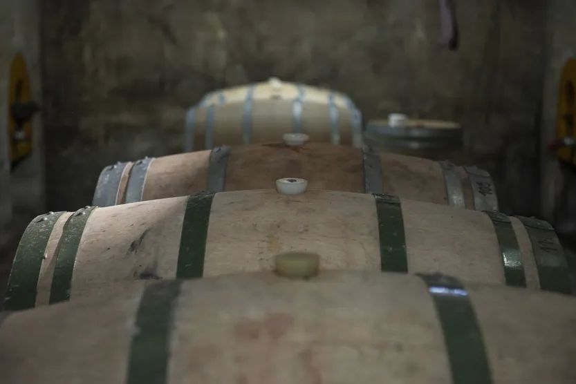 20260312 col bodega irurtia