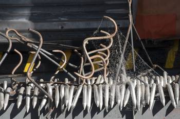 Frigorífico Rosario (archivo, mayo de 2022). · Foto: Ignacio Dotti