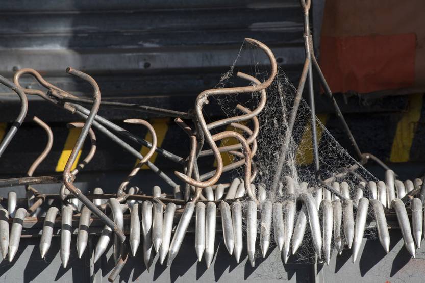 20251218 col. frigorifico