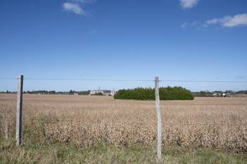 Campo con soja sobre la ruta 1, en Colonia Valdense (archivo). · Foto: Ignacio Dotti
