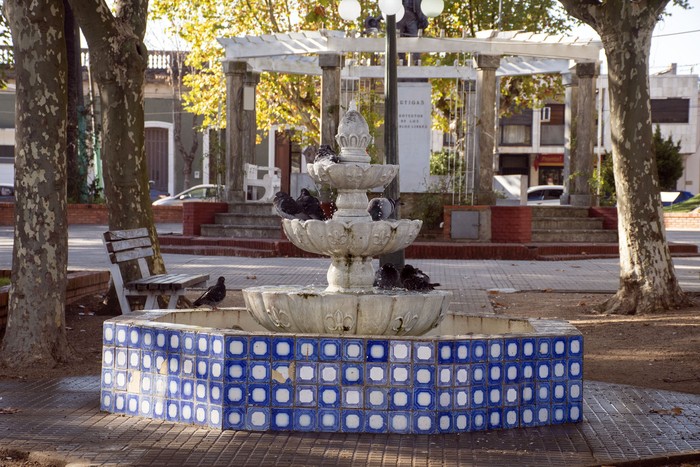 Ciudad de Rosario, Colonia (archivo, mayo de 2022). · Foto: Ignacio Dotti