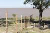 playa RS119015_20220331ID_0014