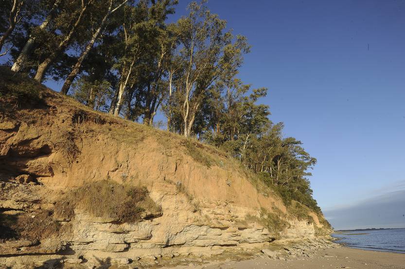 20230308 medioambiente