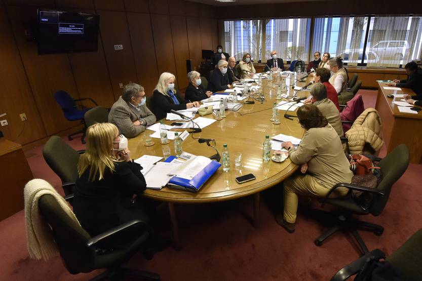 20220607 diputados eutanasia