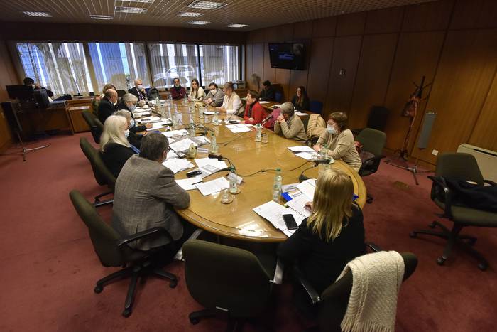 Sesión de la Comisión de Salud (archivo, junio de 2022). · Foto: Federico Gutiérrez
