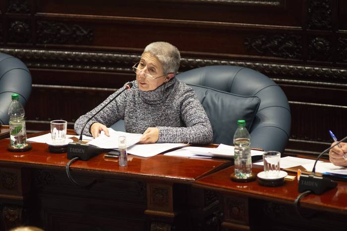 Amanda Della Ventura, durante una sesión en la Cámara de Senadores, en el Palacio Legislativo (archivo, junio de 2022). · Foto: Alessandro Maradei