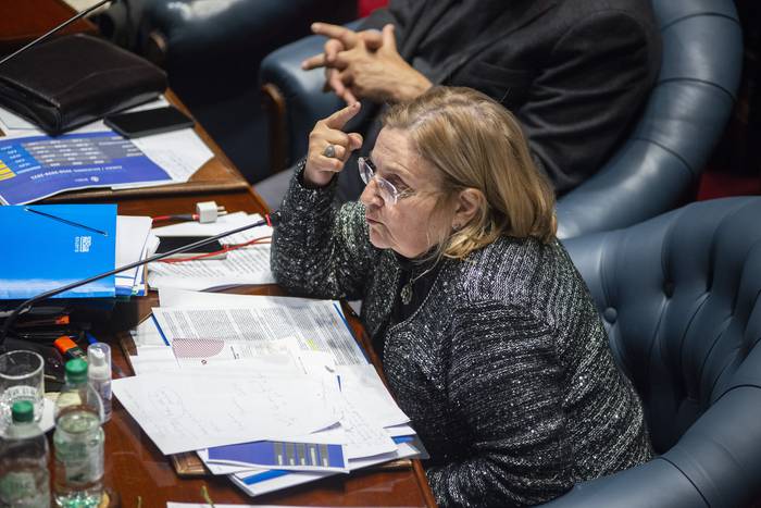 Graciela Bianchi, durante una sesión de la Cámara de Senadores (archivo, junio de 2022). · Foto: Alessandro Maradei