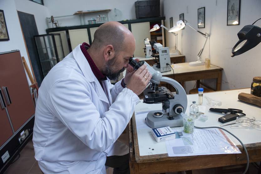 20220623 Laboratorio de Ciencias Clemente Estable 3