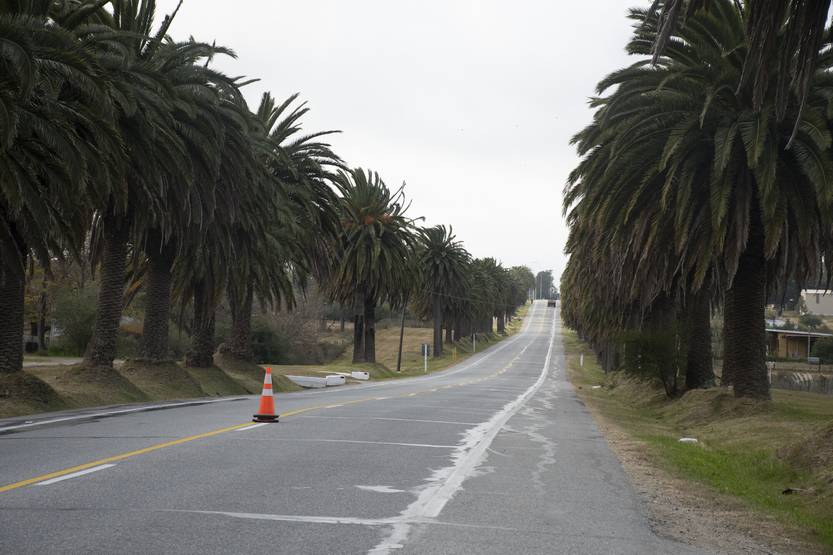 20230317 colonia ruta 1