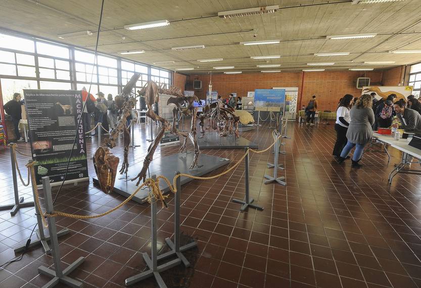 20220811 Fac. Ciencias