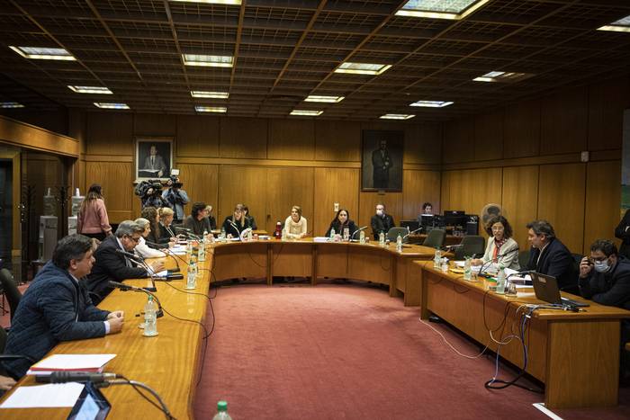 Comisión de Derechos Humanos del parlamento (archivo, julio de 2022). · Foto: .