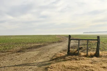 Campo agrícola sobre la ruta 12, en Colonia. · Foto: Ignacio Dotti