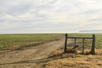 Foto: Ignacio Dotti (archivo).