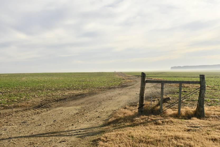 20250526 campo