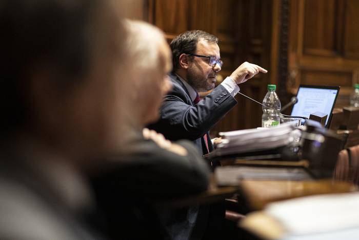 Felipe Schipani, durante la sesión en la Cámara de Diputados, el 15 de agosto, en el Palacio Legislativo. · Foto: Ernesto Ryan