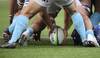 los teros RS130374_20220710_DF_012