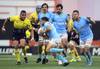 los teros RS130564_20220710_DF_009