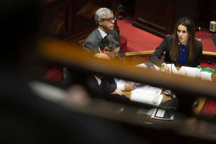 Carolina Ache, durante la interpelación a Luis Alberto Heber y Francisco Bustillo, el 22 de agosto, en la Cámara de Senadores. · Foto: .