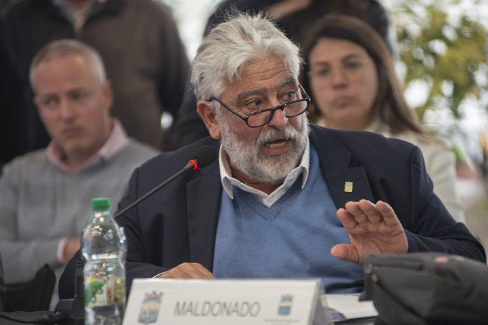 Juan Pígola, director de tránsito de Maldonado (archivo, agosto de 2022). · Foto: Alessandro Maradei