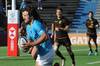 los teros RS13168_20200222FGI 0315