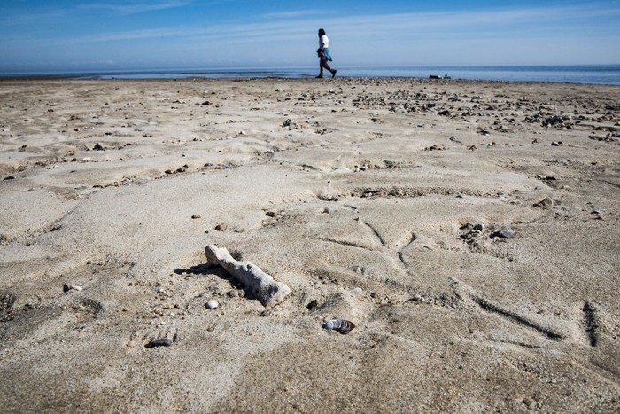 Playa Arazatí (archivo, agosto de 2022). · Foto: Mara Quintero