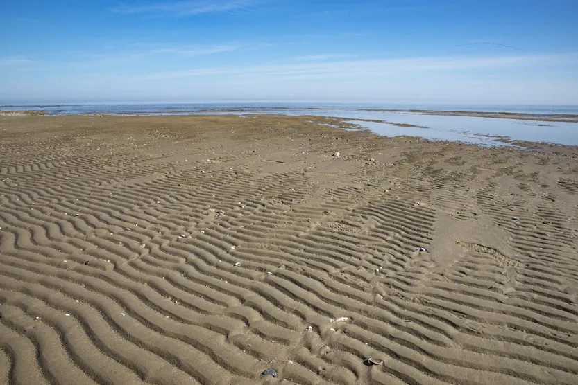 20260216 POL TC NEPTUNO