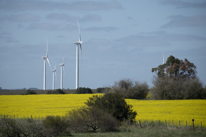 archivo, 2022 · Foto: Ignacio Dotti