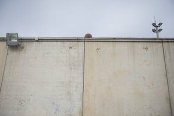 (archivo, setiembre de 2022) · Foto: Alessandro Maradei