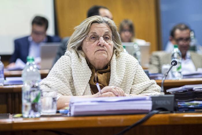 Graciela Bianchi, durante una sesión de comisión en el edificio anexo del Palacio Legislativo (archivo, setiembre de 2022). · Foto: .