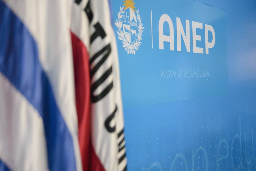 20221028 ANEP