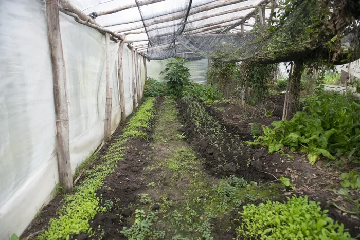 (Archivo). · Foto: Alessandro Maradei