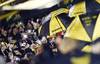 copa auf RS137510_20221009AM_334