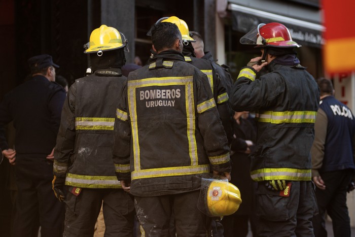 Foto: Alessandro Maradei (archivo).