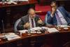 20221115 senado inves Carrera