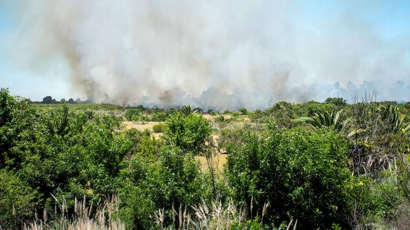 incendio RS143370_20221124ID_0002