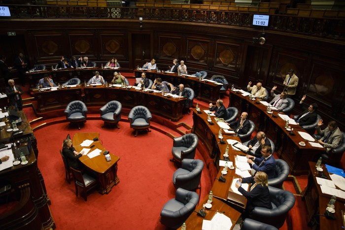 Cámara de Senadores, en el Palacio Legislativo (archivo). · Foto: Mara Quintero