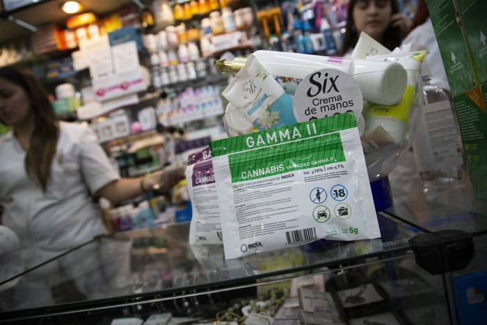 Venta de Cannabis en una farmacia de Montevideo (archivo, diciembre de 2022). · Foto: Camilo dos Santos