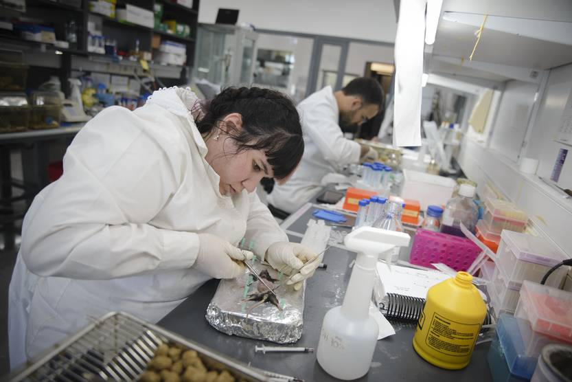 20260105 Investigación Científica