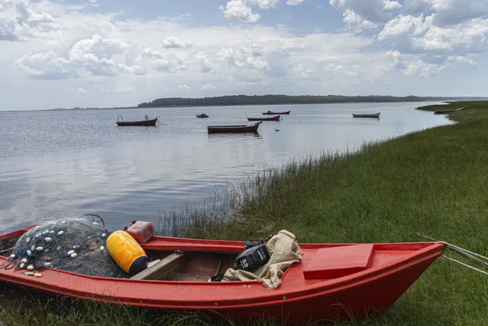 Laguna de Rocha (archivo, enero de 2021). · Foto: Ernesto Ryan