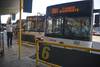 20231207 transporte