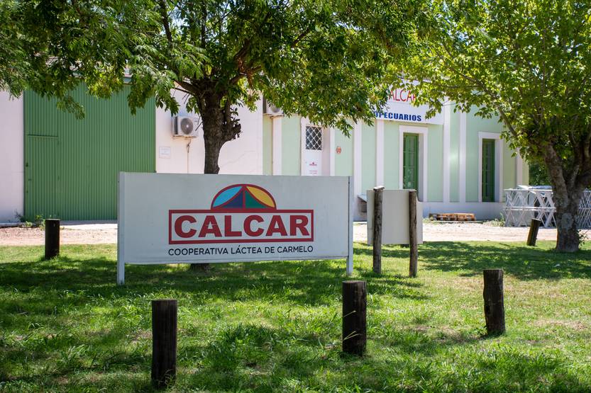20230325 calcar
