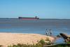 20231213 Colonia