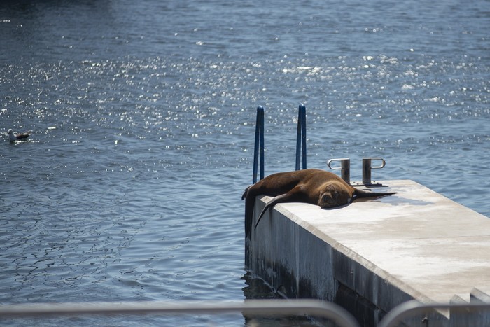 (archivo, enero 2023) · Foto: Alessandro Maradei